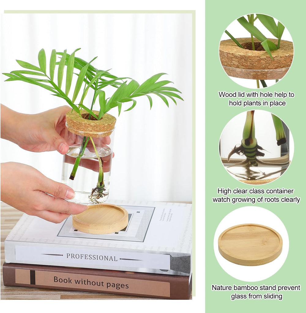 6 Pcs Plants Propagation Station Planter Terrariums Wooden Lid Bamboo Stand