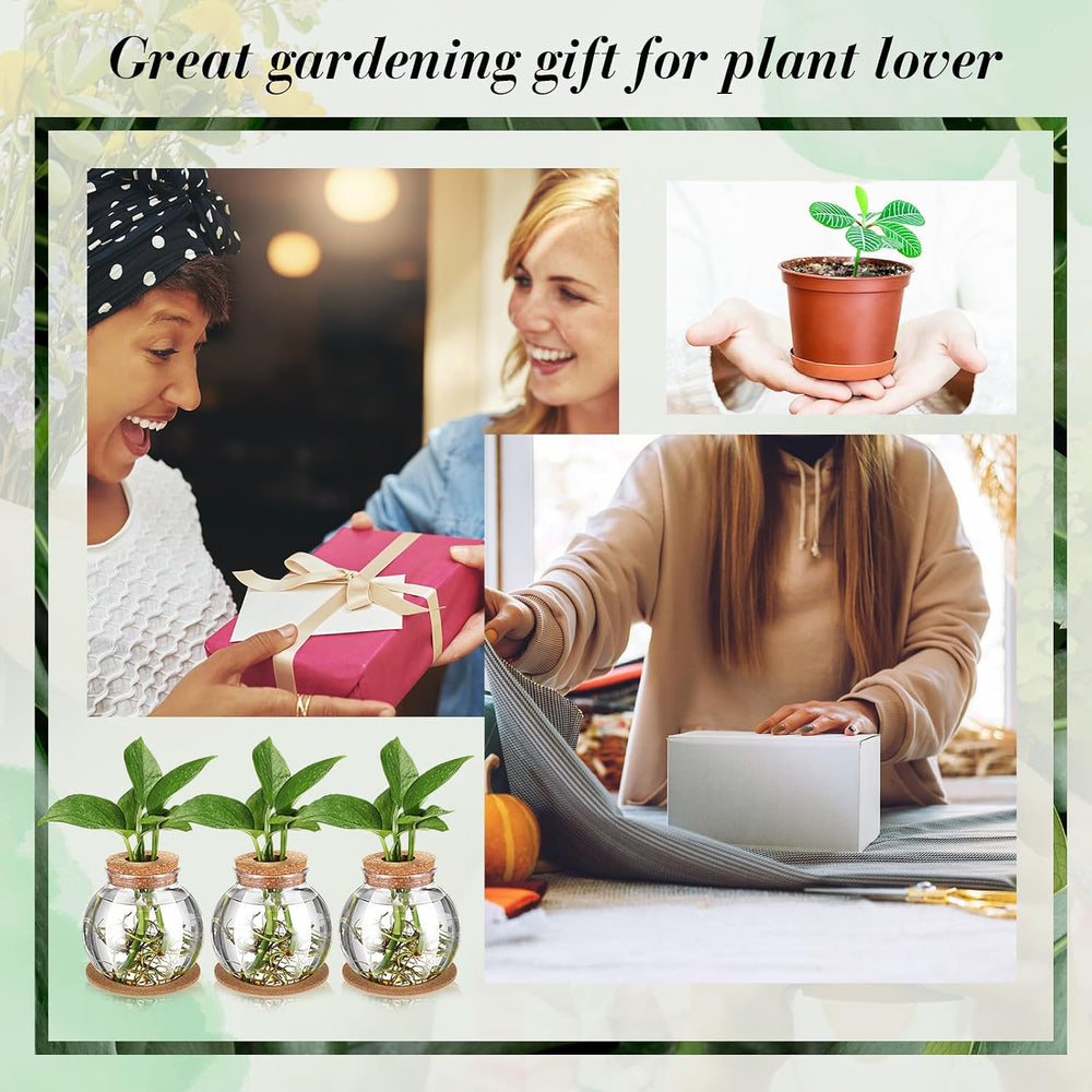 12 Packs Propagation Vases for Plants