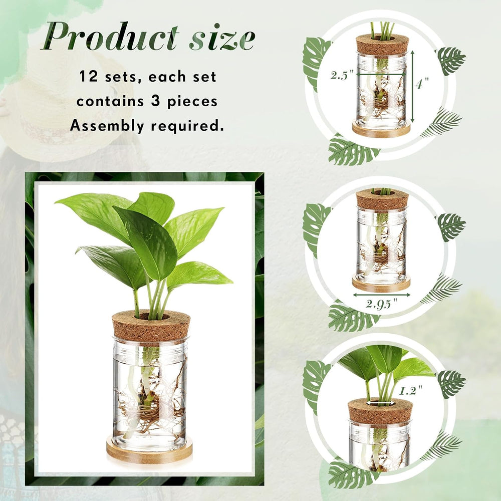 Baderke 12 Pack Propagation Vases for Plants, Classic Style