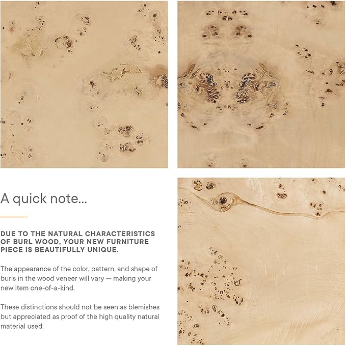 Modway Elysian Living Room Furniture, Bleached Burl