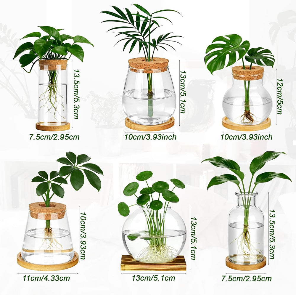 6 Pcs Plants Propagation Stations Glass Planter Terrariums with Wooden Lid an...
