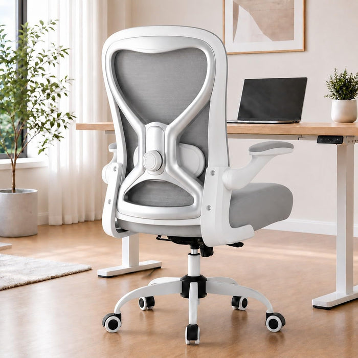 Ergonomic Home Office Chair, 4-Way Lumbar, Thick Cushion, 330LB (Gray/Silver)
