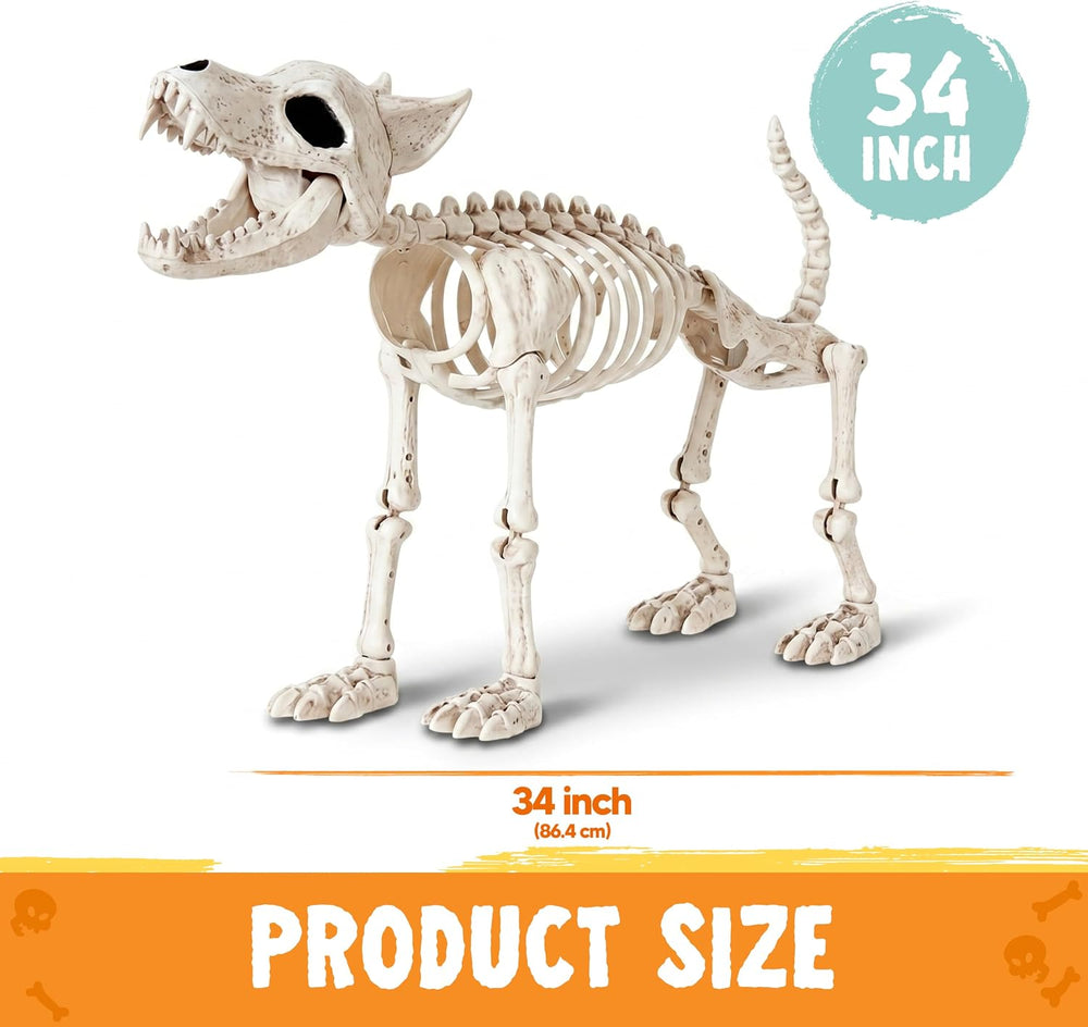 JOYIN 34โ Wolf Skeleton Halloween Decoration, Plastic Animal Skeleton with Mo...