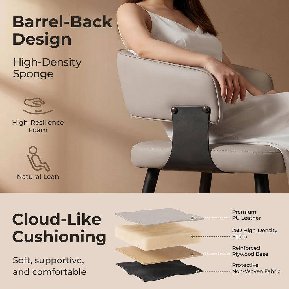 Dining Chairs for Dining Table, Modern Kitchen Chairs Set of 2