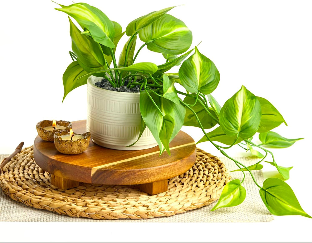 Kurrajong Farmhouse Dark Green Fake pothos | Fake Plant for Shelf Decor | Art...