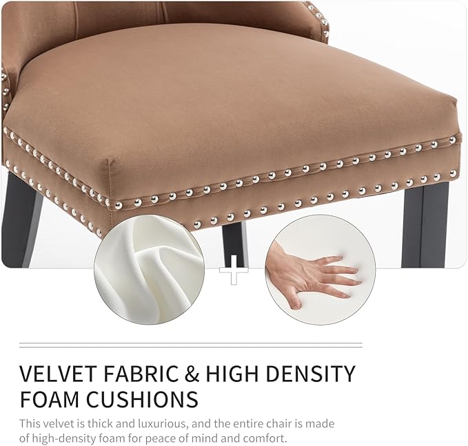 Velvet Dining Chairs Set of 2, Upholstered Dining Room Chairs with Nailhead T...