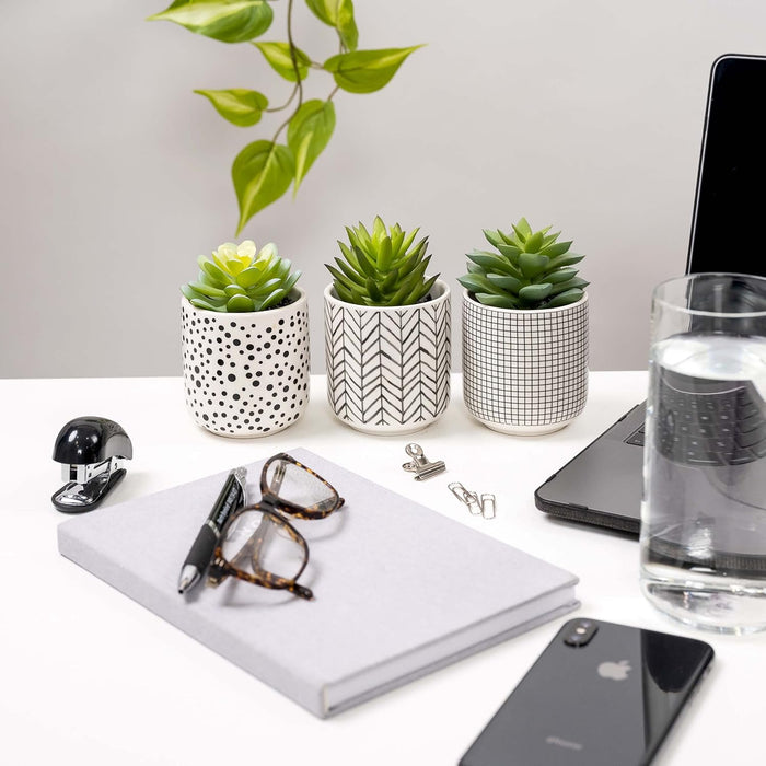 Kurrajong Farmhouse Artificial Succulents in pots | Set of 3 Black and White pots with Faux Succulents | Faux Plants Indoor | Fake Plants for Desk Decor | 4.75" high