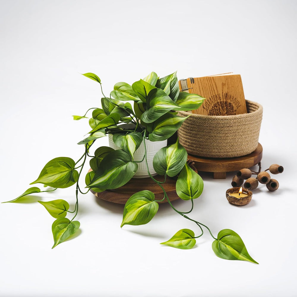 Kurrajong Farmhouse Dark Green Fake pothos | Fake Plant for Shelf Decor | Art...