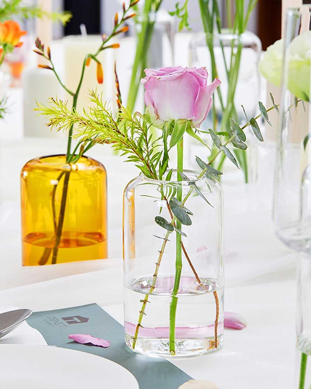 ZENS Bud Vases in Bulk Set of 16, Modern Small Glass Vases for Flower Clear B...