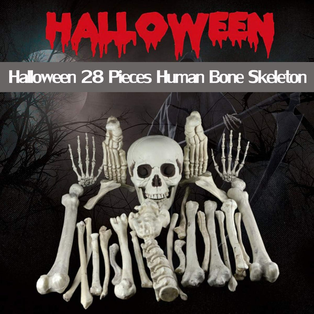 XONOR 28 Pieces Skeleton Bones and Skull for Halloween Decor or Spooky Gravey...