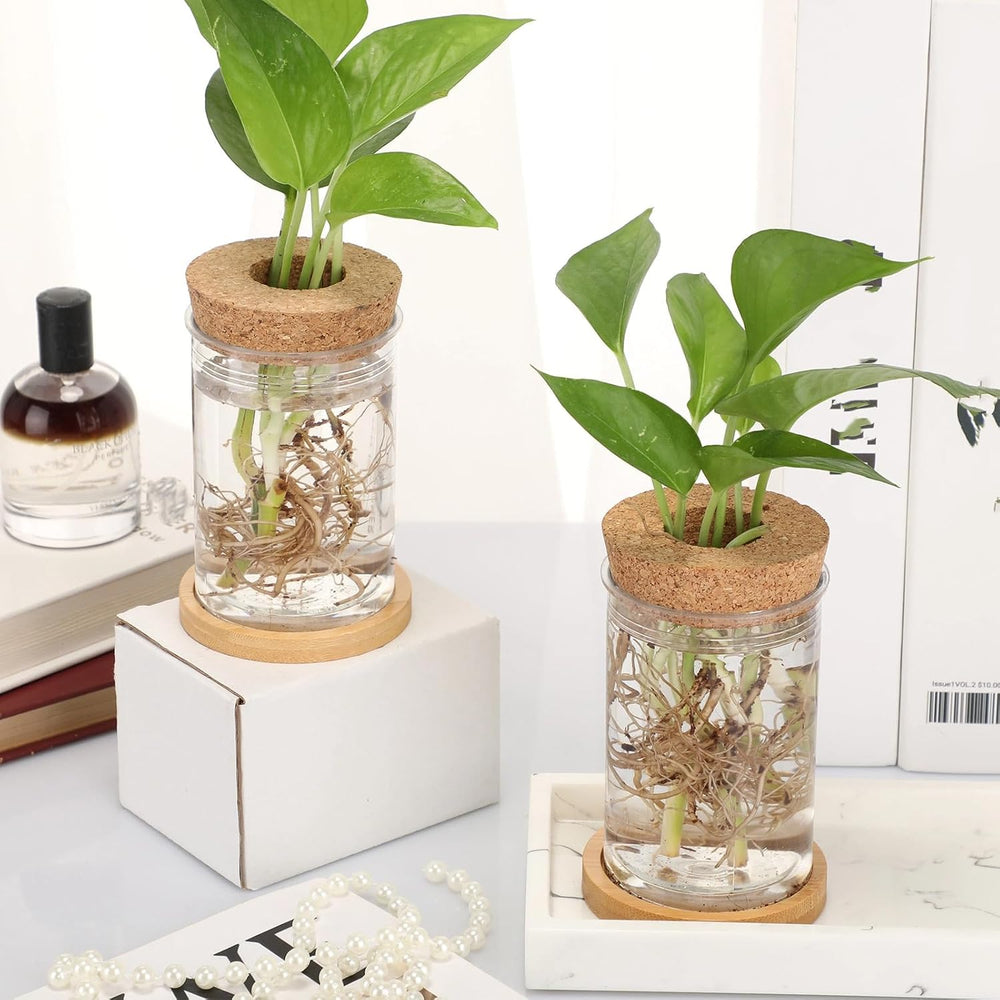 Baderke 12 Pack Propagation Vases for Plants, Classic Style