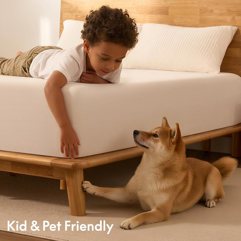 FLEXISPOT Hako G1 Queen Solid Wood Platform Bed with Tool-Free Assembly