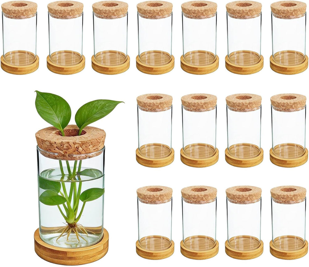 16 Pcs Propagation Vases with Bamboo Stand and Hole Lid, Glass Plant Propagat...