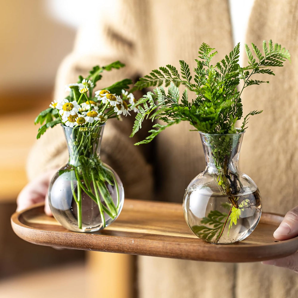 Plastic Propagation Vases (25 Bulbs),Desktop Plant Terrarium for Indoor Plant...