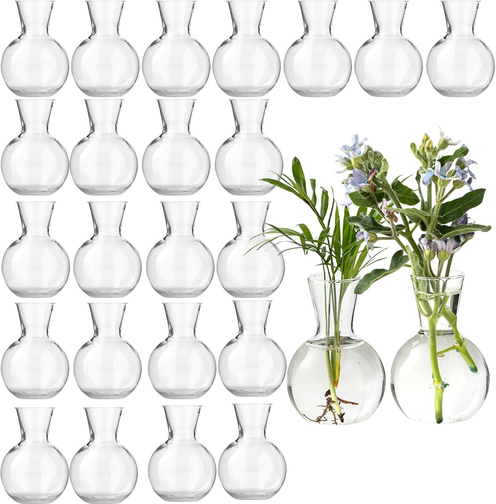 Plastic Propagation Vases (25 Bulbs),Desktop Plant Terrarium for Indoor Plant...