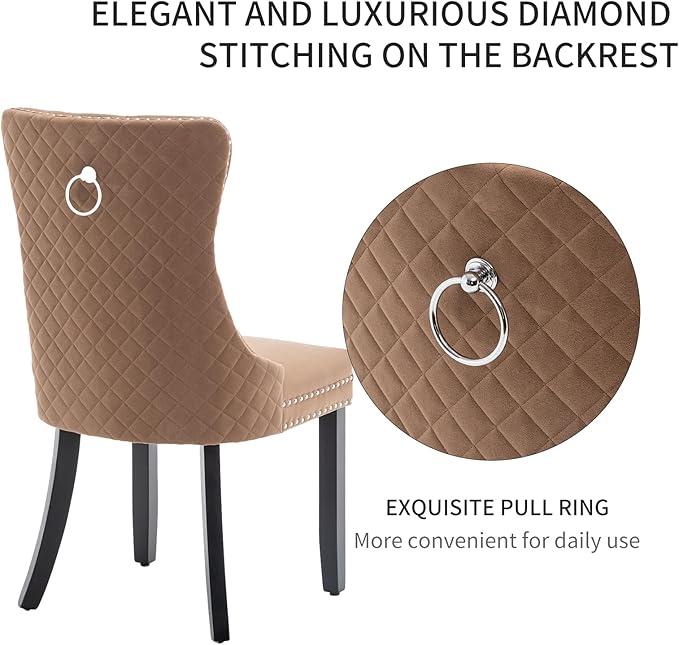 Velvet Dining Chairs Set of 2, Upholstered Dining Room Chairs with Nailhead T...