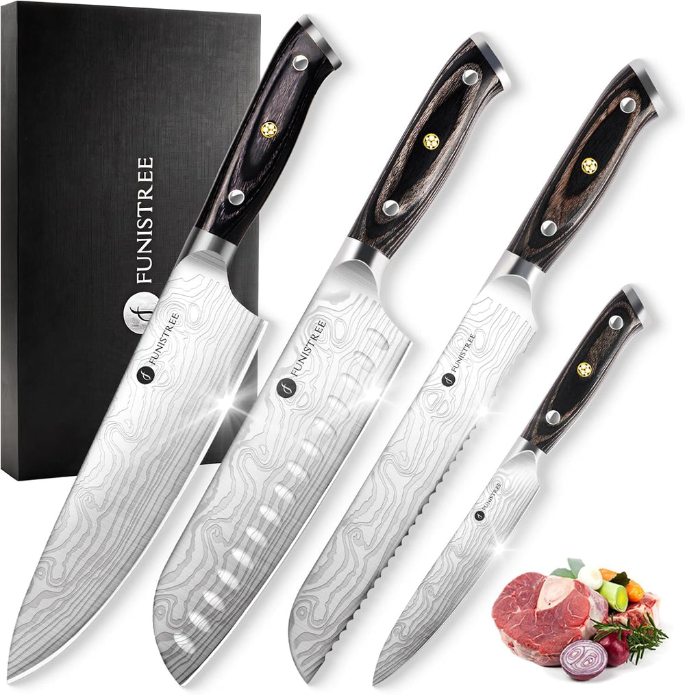 4 Pieces Professional Kitchen Knife Set, Damascus German Stainless Steel Chef