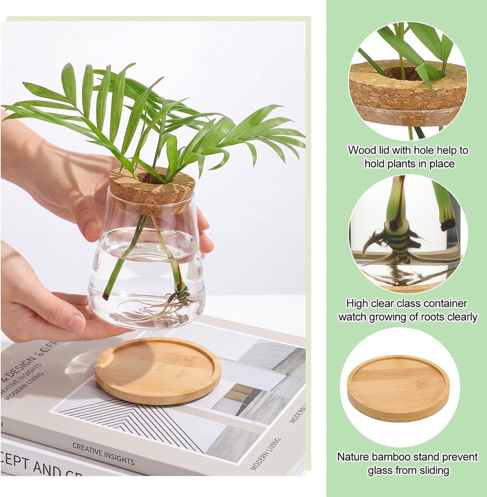 Honeydak 6 Pcs Plants Propagation Stations with Wooden Lid and Bamboo Stand