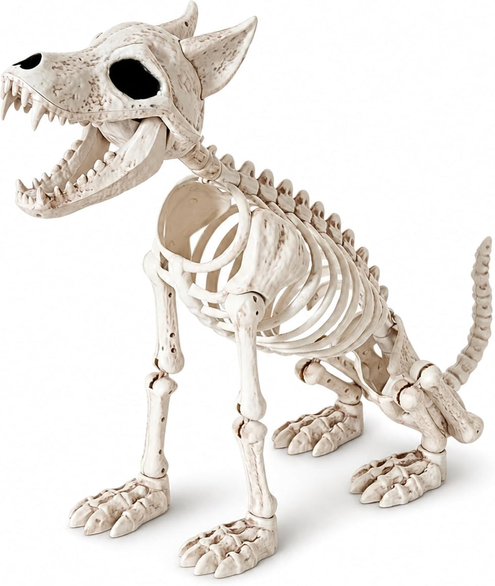JOYIN 34โ Wolf Skeleton Halloween Decoration, Plastic Animal Skeleton with Mo...