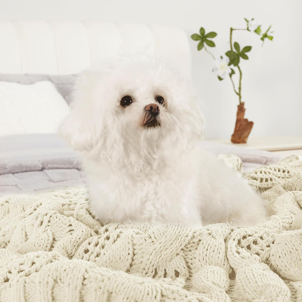 Amélie Home Cable Knit Chenille Throw Blanket, Cream White 60×80