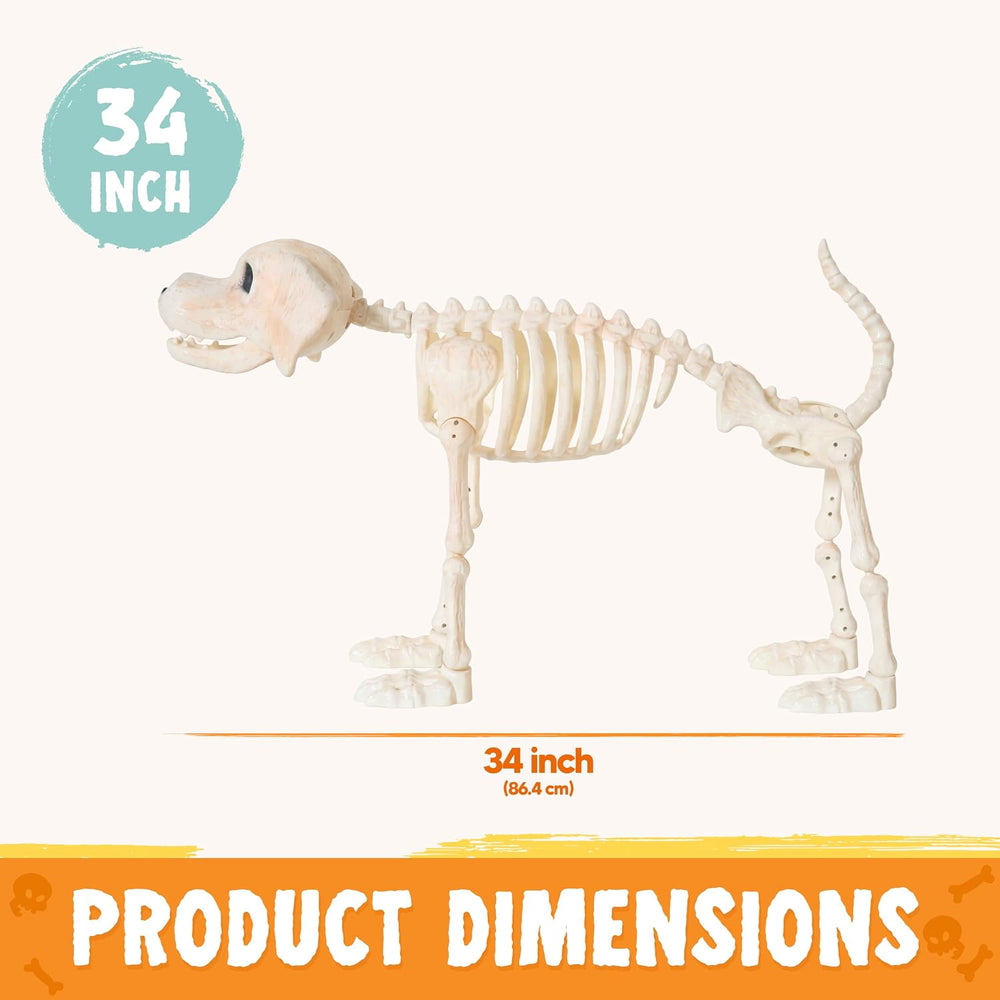 JOYIN Halloween Golden Retriever Skeleton 34โ Animal Dog Plastic Skeleton wit...