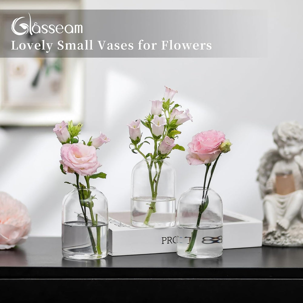Glasseam Glass Bud Vases for Centerpieces: Bulk of 24 Clear Small Vases