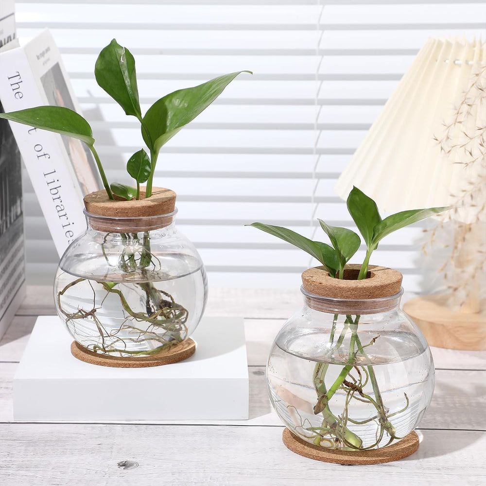 12 Packs Propagation Vases for Plants