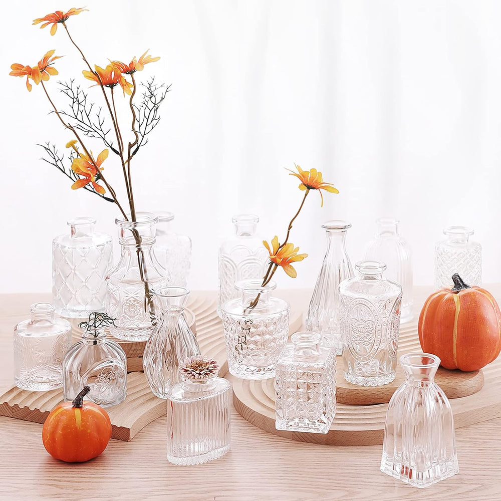Arme Glass Bud Vase Set of 32 Pcs,Small Glass Vases for Flowers,Clear Bud Vas...