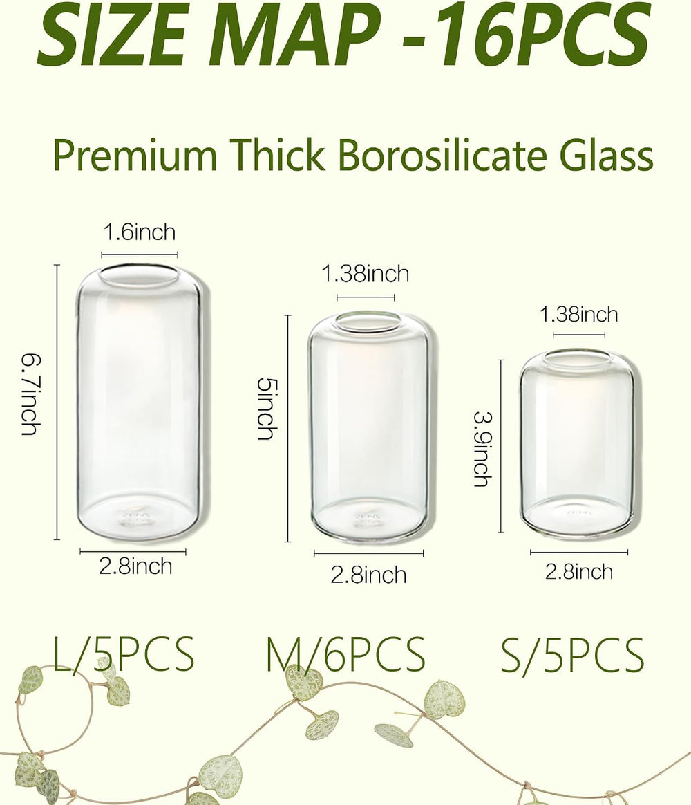 ZENS Bud Vases in Bulk Set of 16, Modern Small Glass Vases for Flower Clear B...