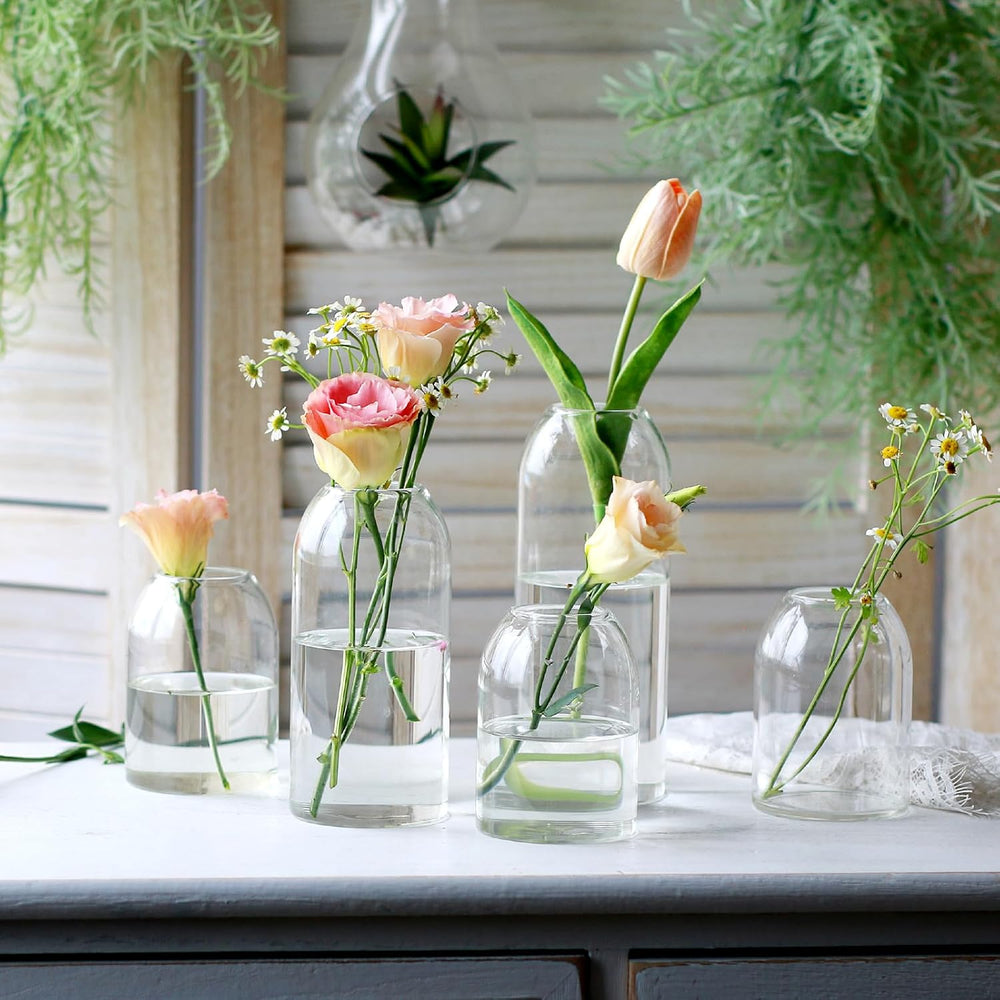 Etolies Glass Bud Vases in Bulk Set of 12, Clear Small Vases for Flowers,Mode...