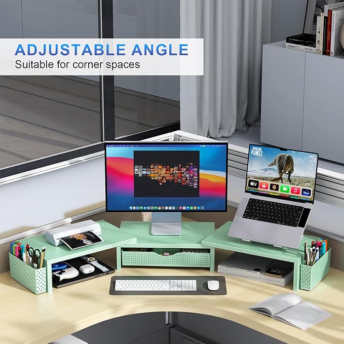 gianotter Dual Monitor Stand Riser, Desk Organizer