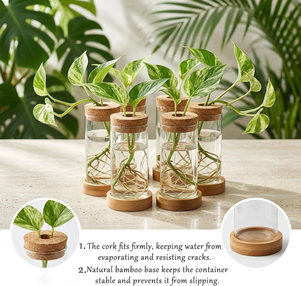 16 Pcs Propagation Vases with Bamboo Stand and Hole Lid, Glass Plant Propagat...