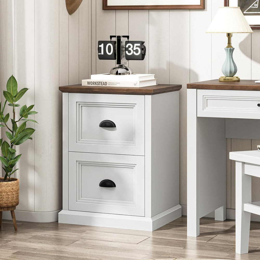 Halitaa Vertical File Cabinet with 2 Drawers for Home Office, White | Farmhou...