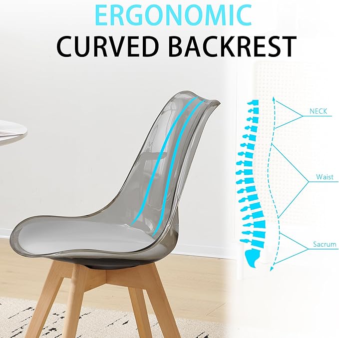 Clear Dining Chairs Set of 2, Modern Acrylic Dining Chair Transparent Chairs ...