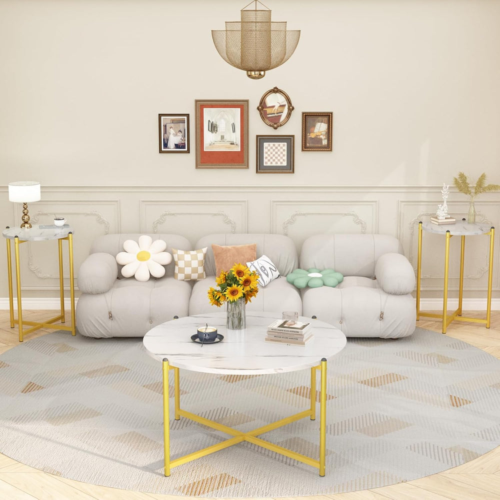 AWQM Faux Marble Coffee Table Set of 3, 1 Coffee Table & 2 Sofa Table, Ro...