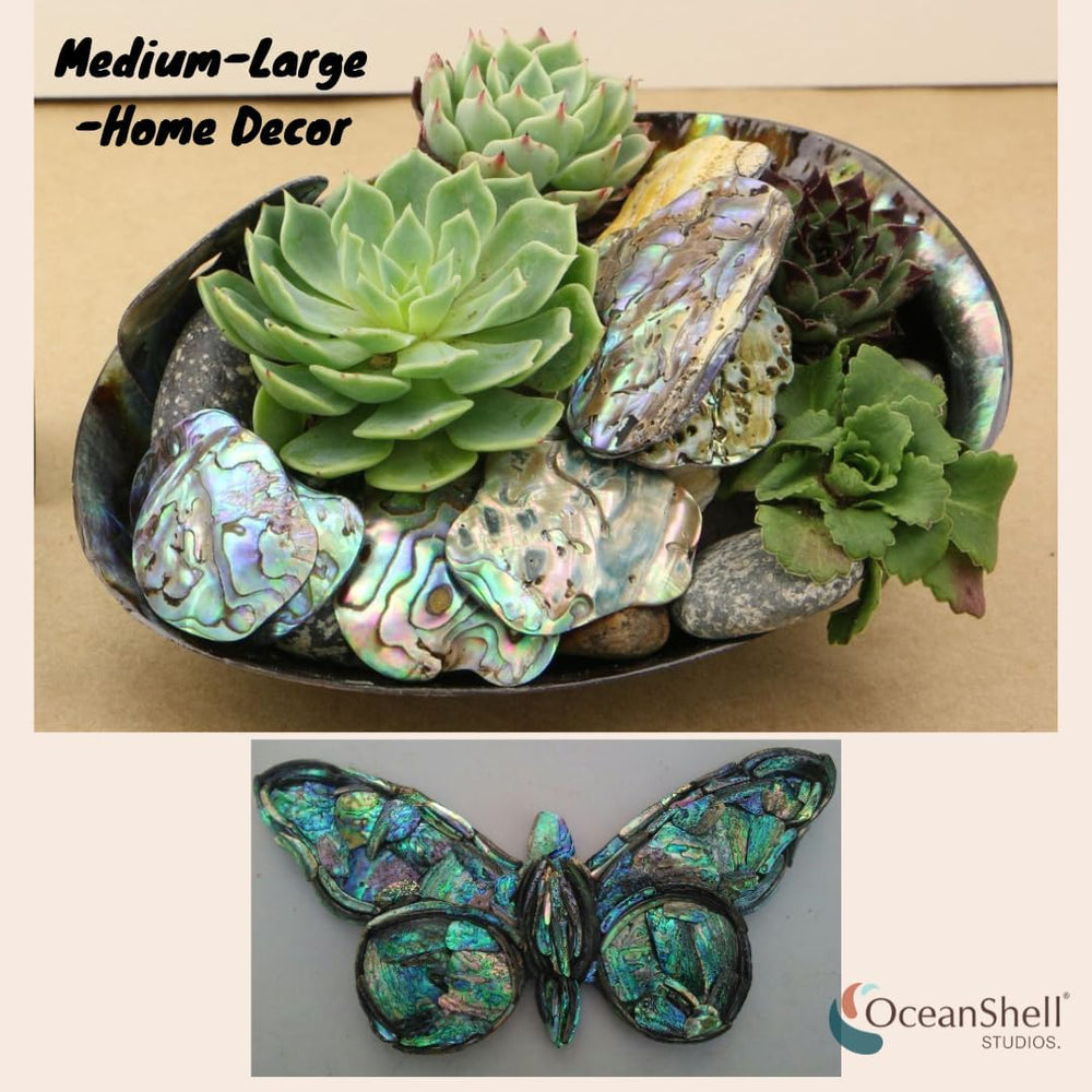 Abalone (Pāua) Shell Pieces-7.05oz Pack-for Crafts, Jewelry Making, Resin Art...