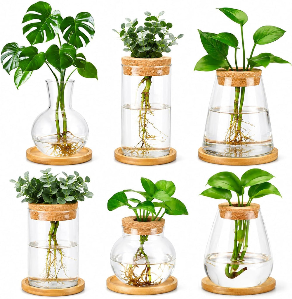 Honeydak 6 Pcs Plants Propagation Stations with Wooden Lid and Bamboo Stand