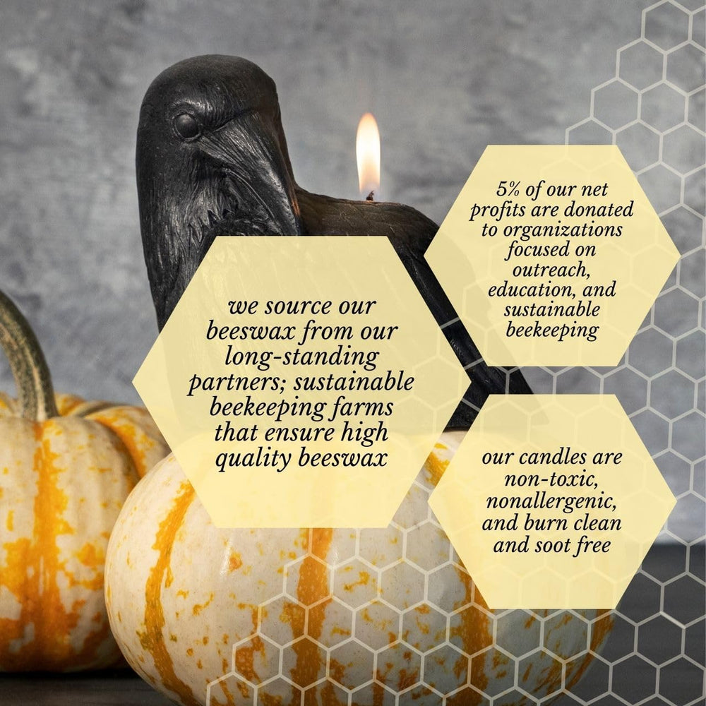 Big Dipper Wax Works Black Crow Candle – Handcrafted 100% Pure Beeswax, 4&quo...