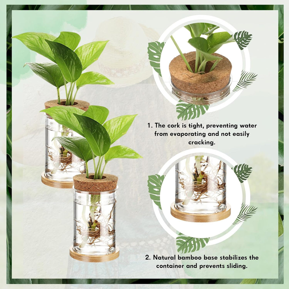 Baderke 12 Pack Propagation Vases for Plants, Classic Style