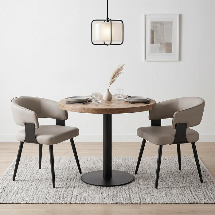 Dining Chairs for Dining Table, Modern Kitchen Chairs Set of 2