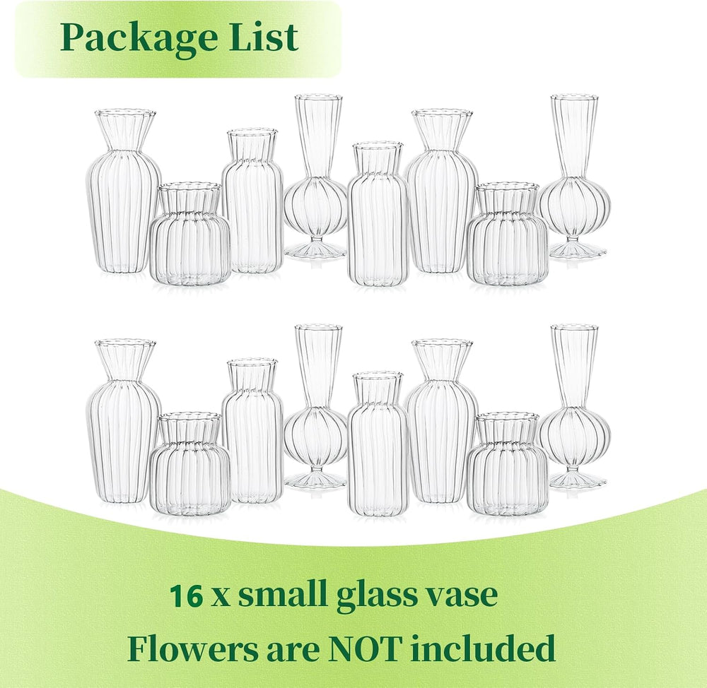 Mini Glass Vases for Centerpieces - Hewory Small Clear Bud Vase in Bulk, Cute...