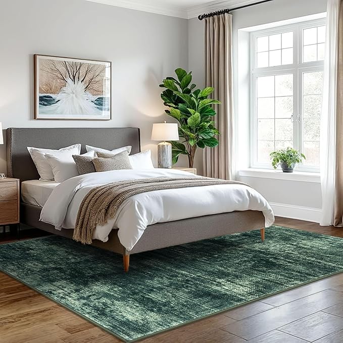IOHOUZE Abstract Area Rugs 5x7 Ft Washable Rugs