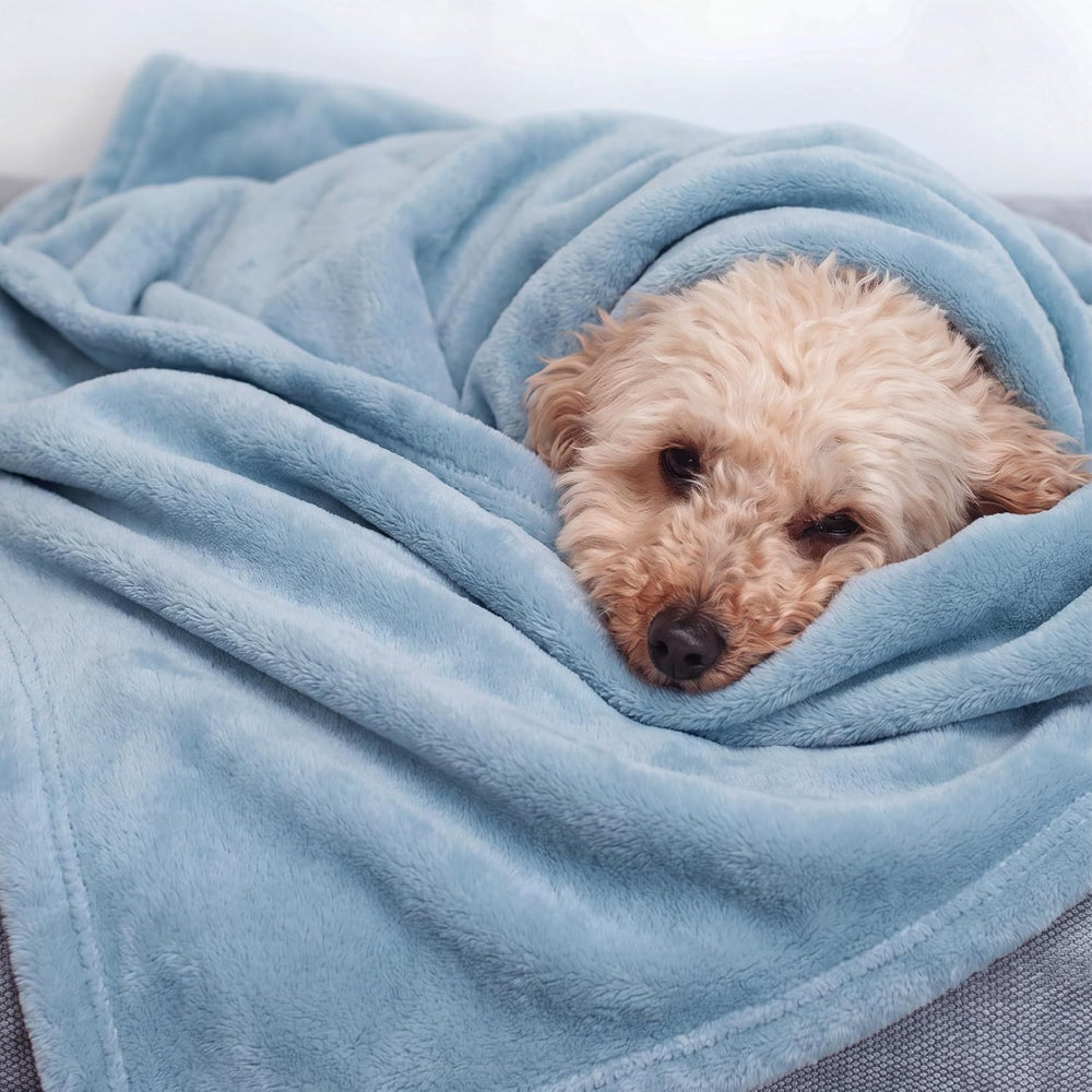 Bedsure GentleSoft Fleece Bed Blankets Queen Size Light Blue - Soft Lightweig...