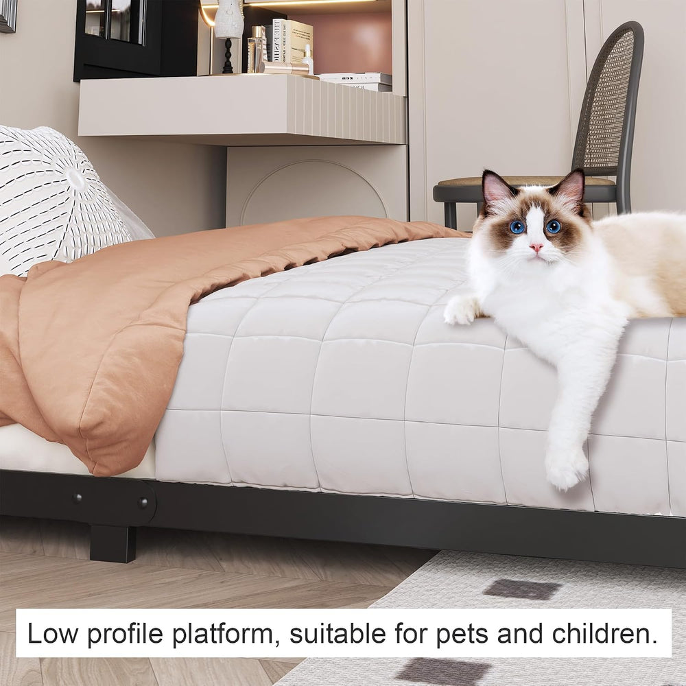 3 inch Full Size Bed Frame with Rounded Corner, Low Profile Bed Frame