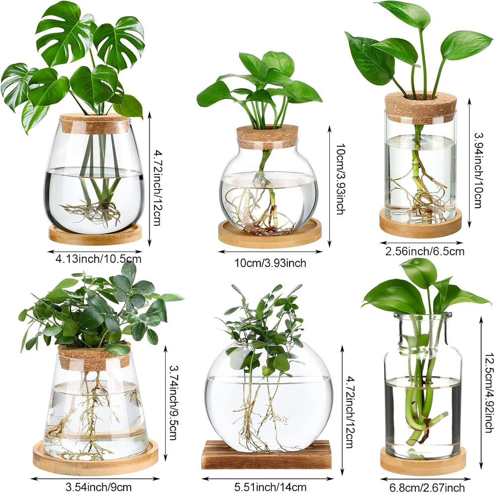 6 Pcs Plants Propagation Station Planter Terrariums Wooden Lid Bamboo Stand