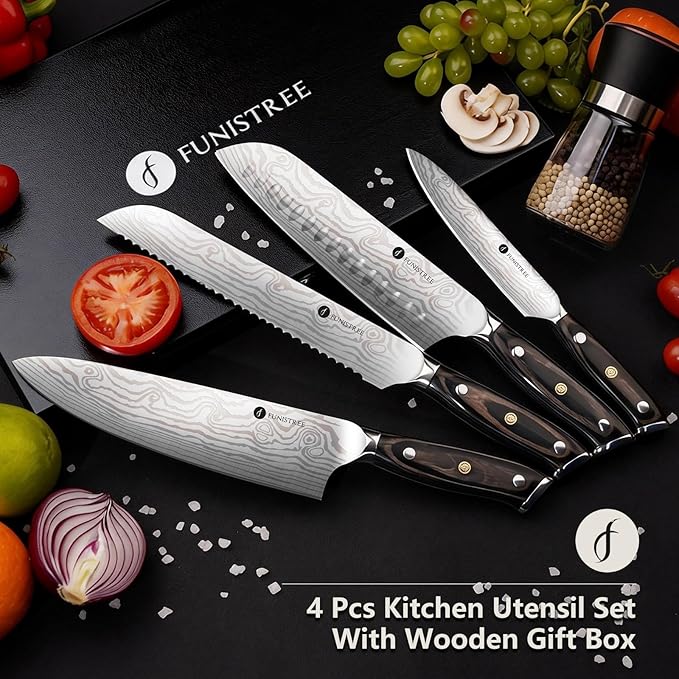 4 Pieces Professional Kitchen Knife Set, Damascus German Stainless Steel Chef