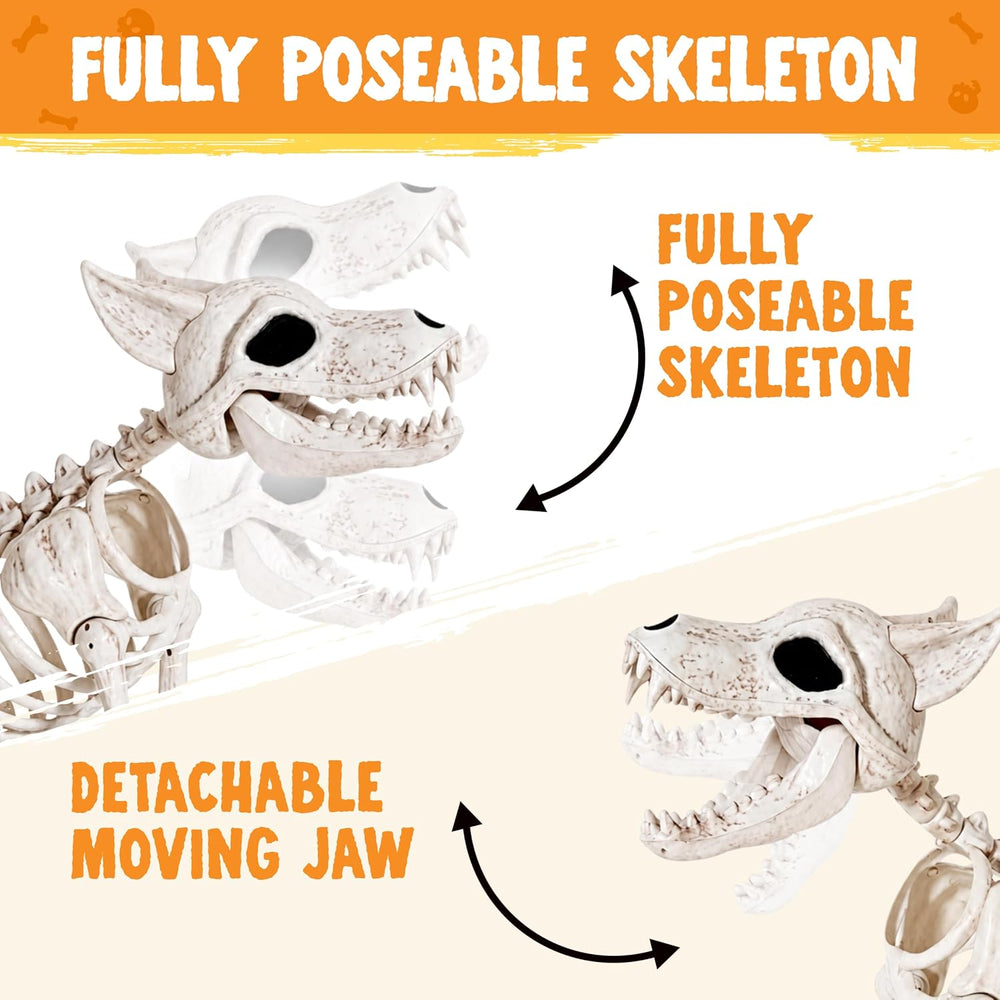 JOYIN 34โ Wolf Skeleton Halloween Decoration, Plastic Animal Skeleton with Mo...