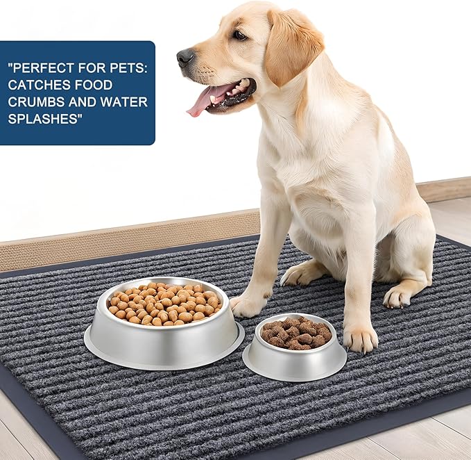 OLANLY Front Door Mat Indoor Outdoor Entrance, Waterproof Heavy Duty Doormat ...