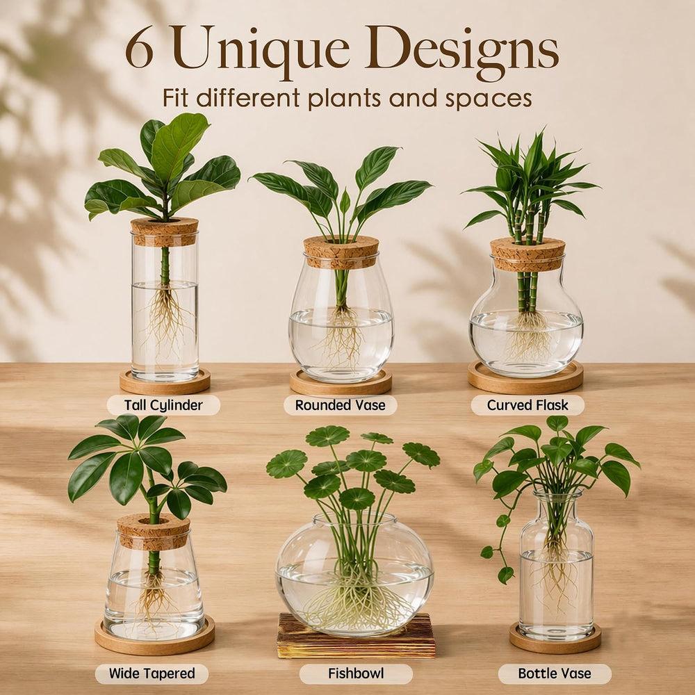 6 Pcs Plant Propagation Station Set, Glass Propagation Vases for Plants with ...