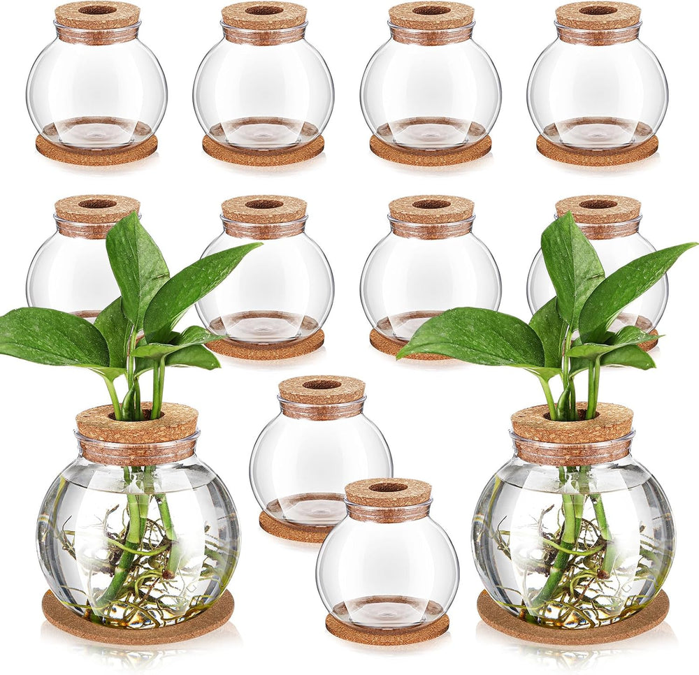 12 Packs Propagation Vases for Plants